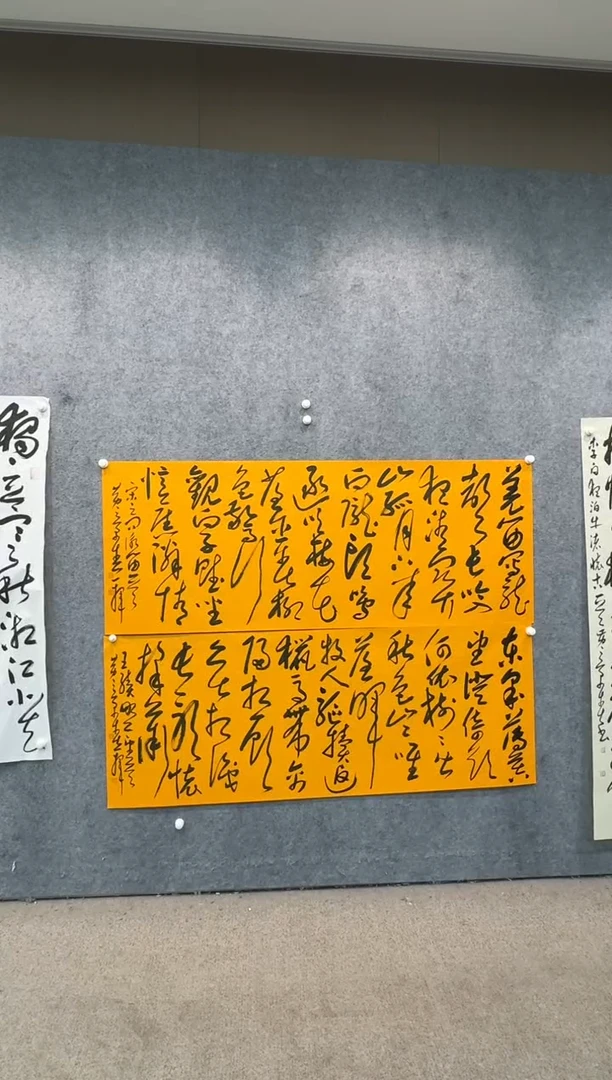 【闪购商品】书法pmw不二轩旗舰店书法HJC20