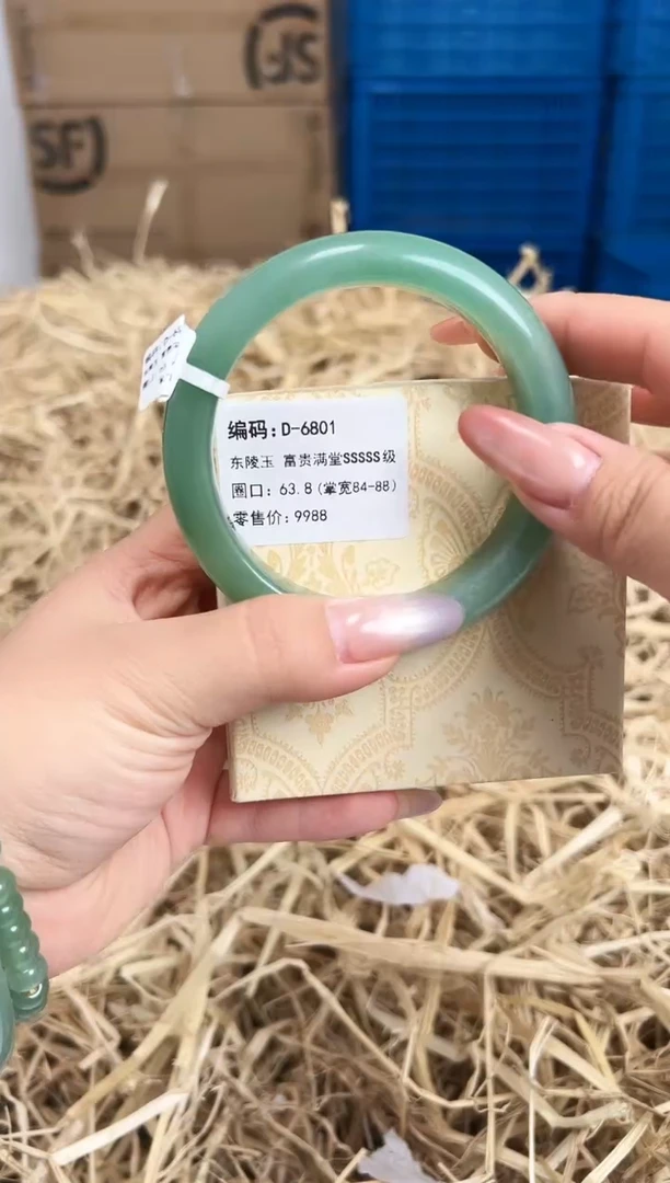 未镶嵌手镯石英质玉D-6801