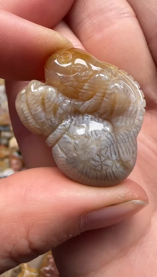 【闪购商品】硅化珊瑚（珊瑚玉）颈饰未镶嵌503