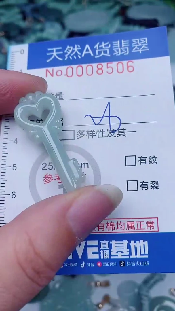 翡翠未镶嵌颈饰00008506