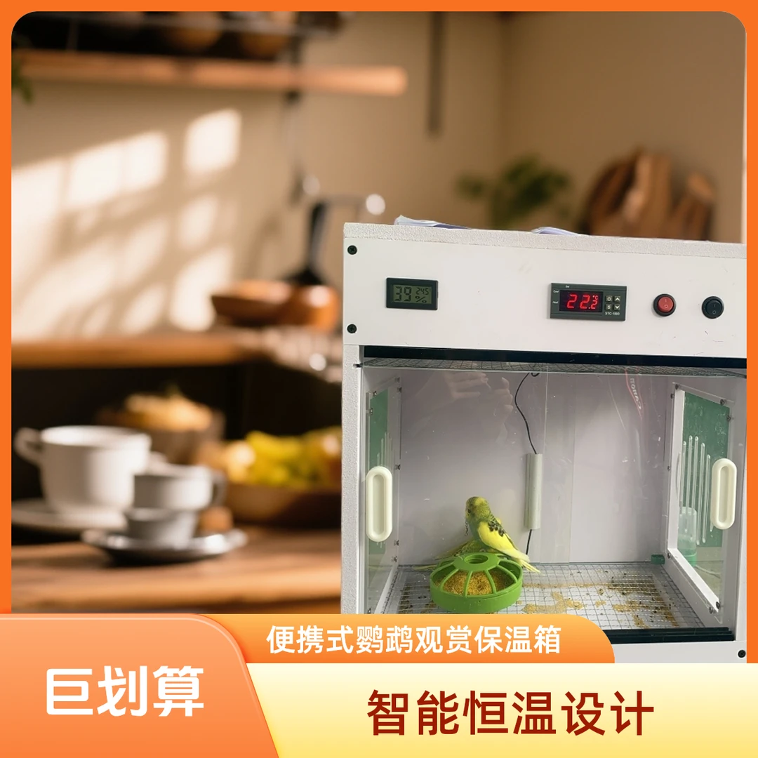 宠物饲养PVC材质自动控温鹦鹉恒温观赏箱