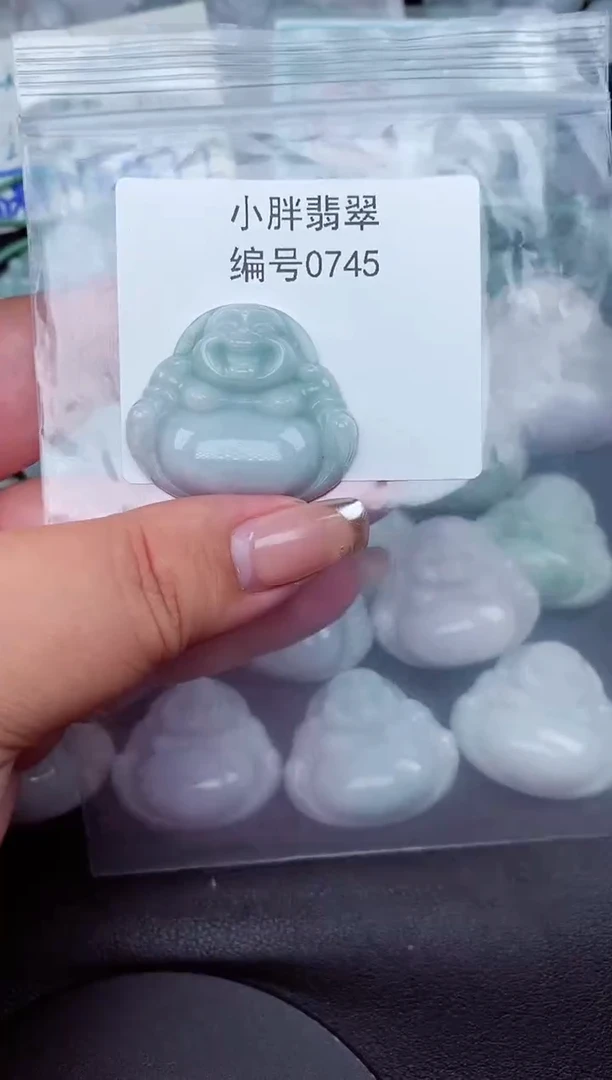 翡翠未镶嵌颈饰缅甸天然A货翡翠0745