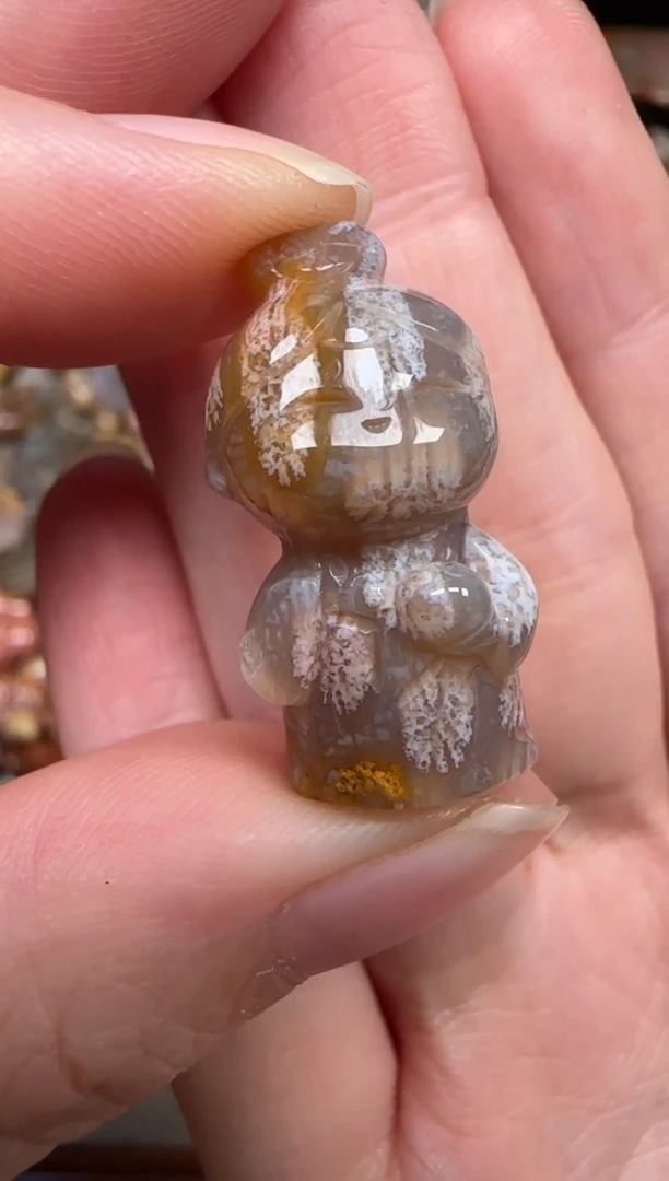 颈饰未镶嵌硅化珊瑚（珊瑚玉）397