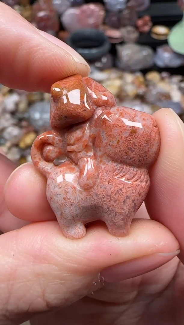 颈饰未镶嵌硅化珊瑚（珊瑚玉）831