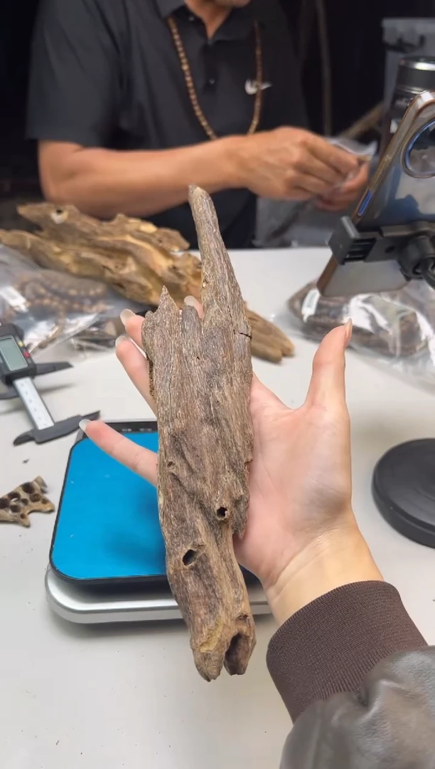 【闪购商品】沉香摆件海南沉香虫漏58克多样性发一