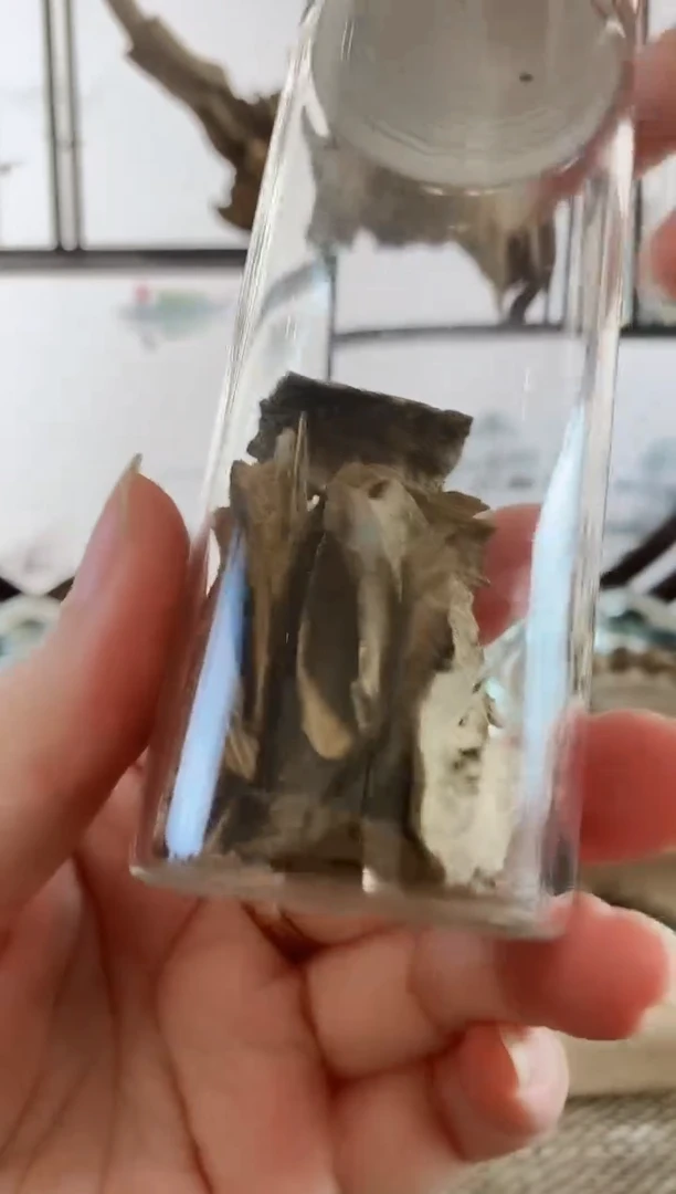 沉香沉香碎屑越南沉生野生小料10克