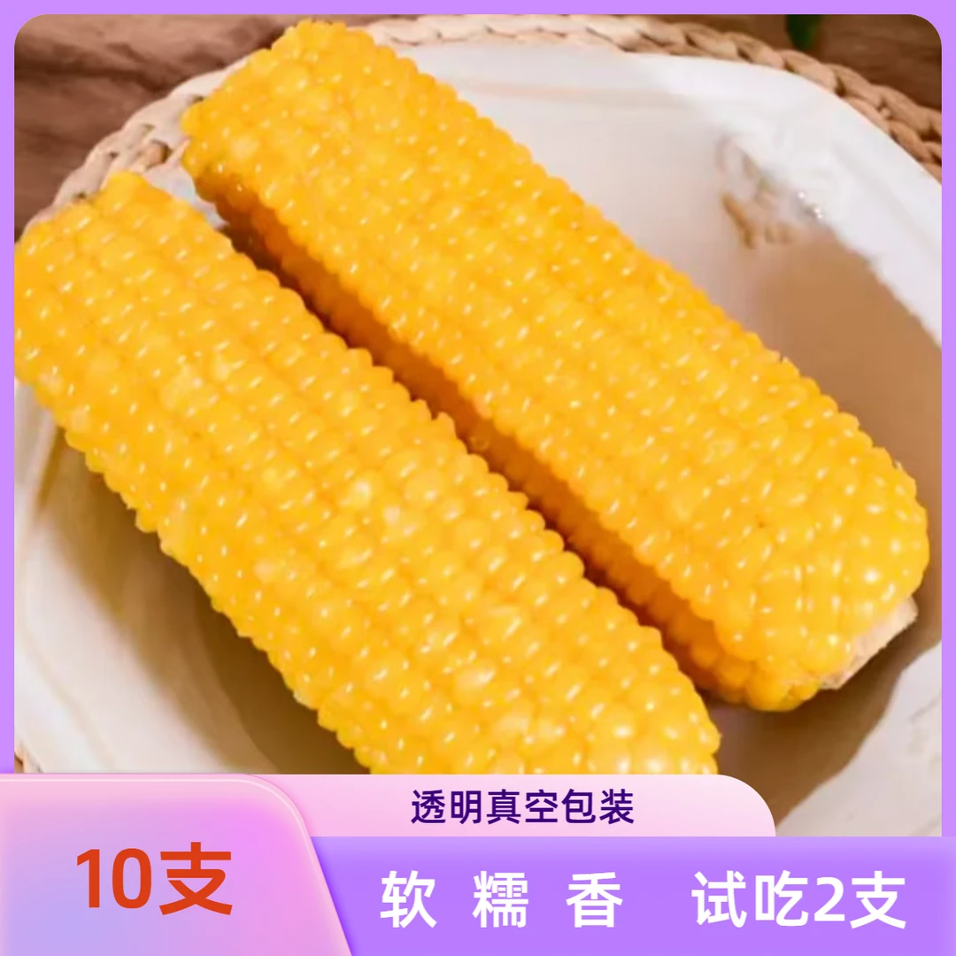 【试吃2支】TL黄糯玉米 头茬新玉米 真空包装10支