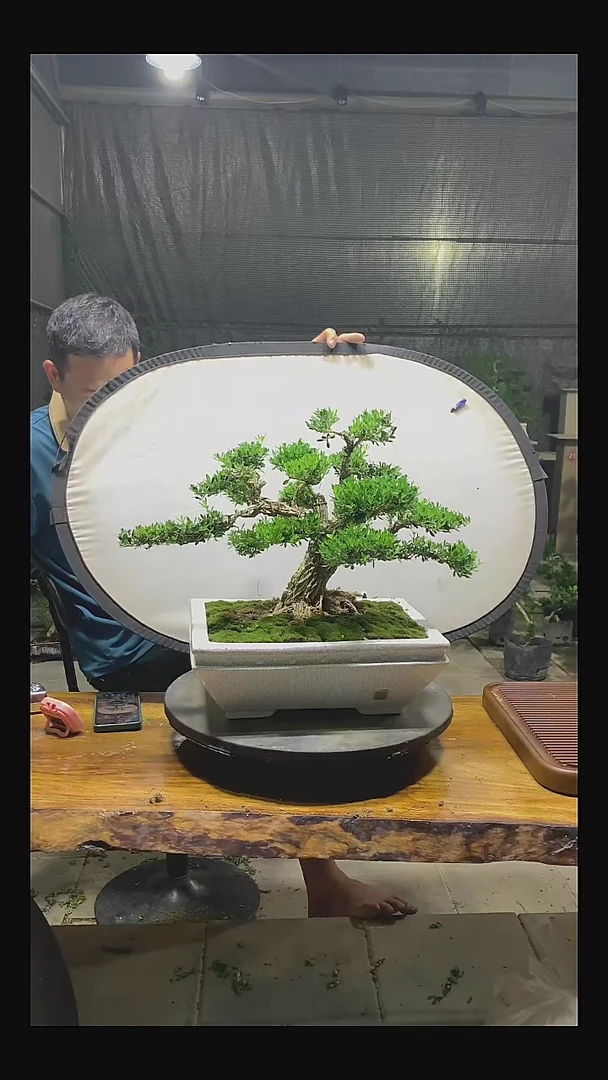 无花朵瀛*11111111