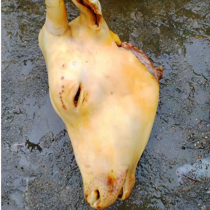 金山子严选高山黄牛肉  烧皮牛头