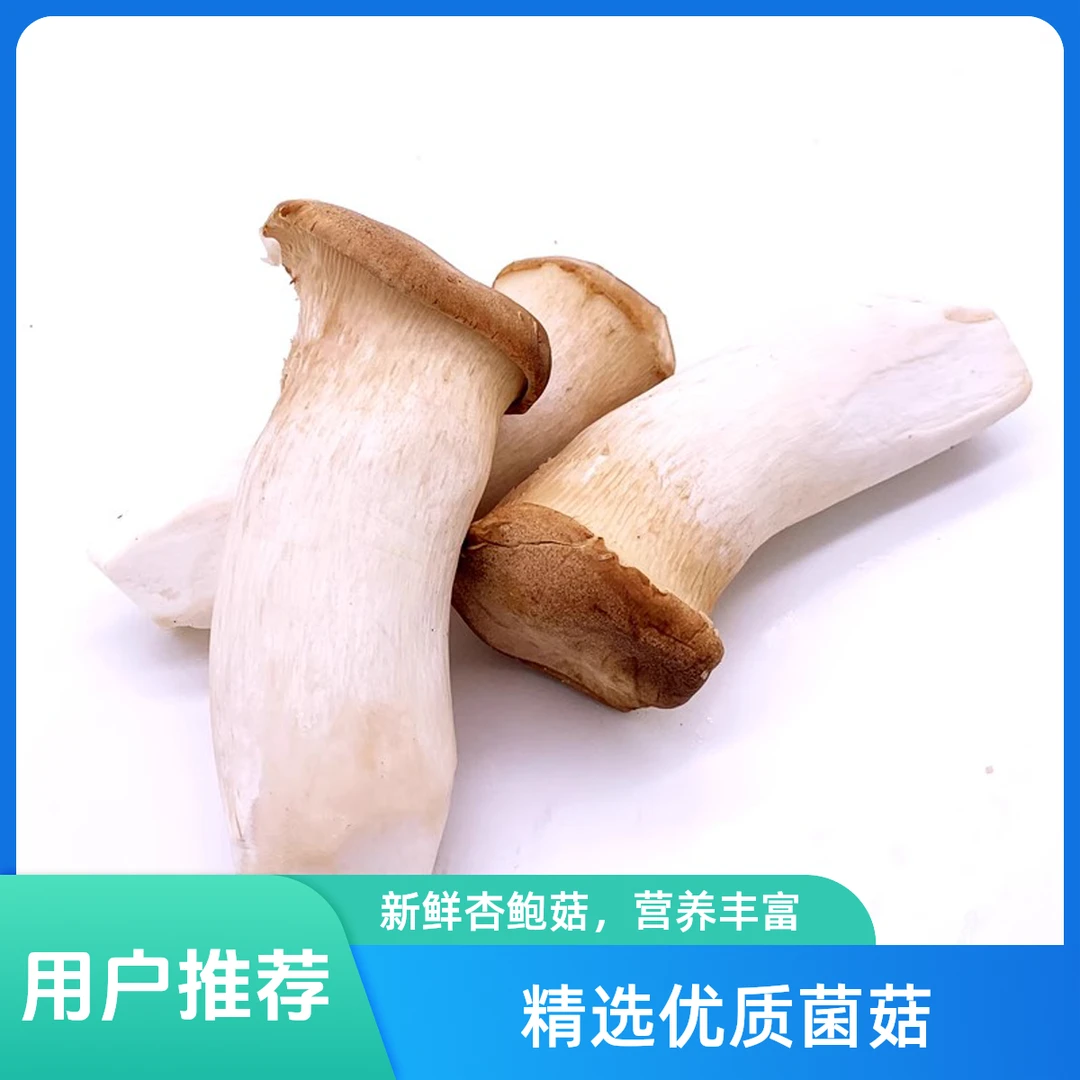 杏鲍菇500g左右无品种