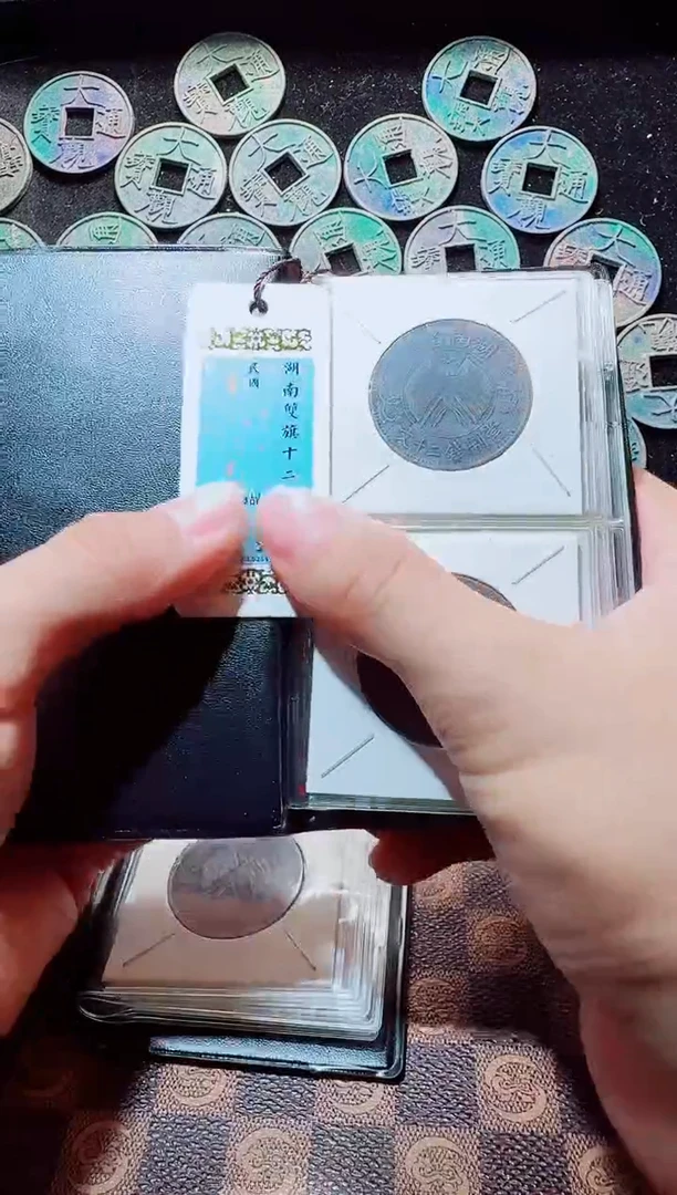 铜A122精品湖南双旗贰拾文十二枚册（黑漆古）(斐龍)