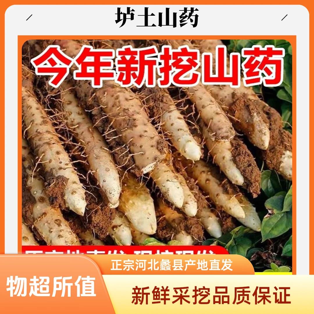 正宗垆土铁棍山药河北保定蠡县产地直发新鲜采挖高品质