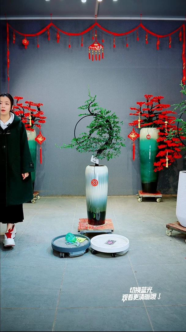 以实际为准梁*杰一物一拍绿植