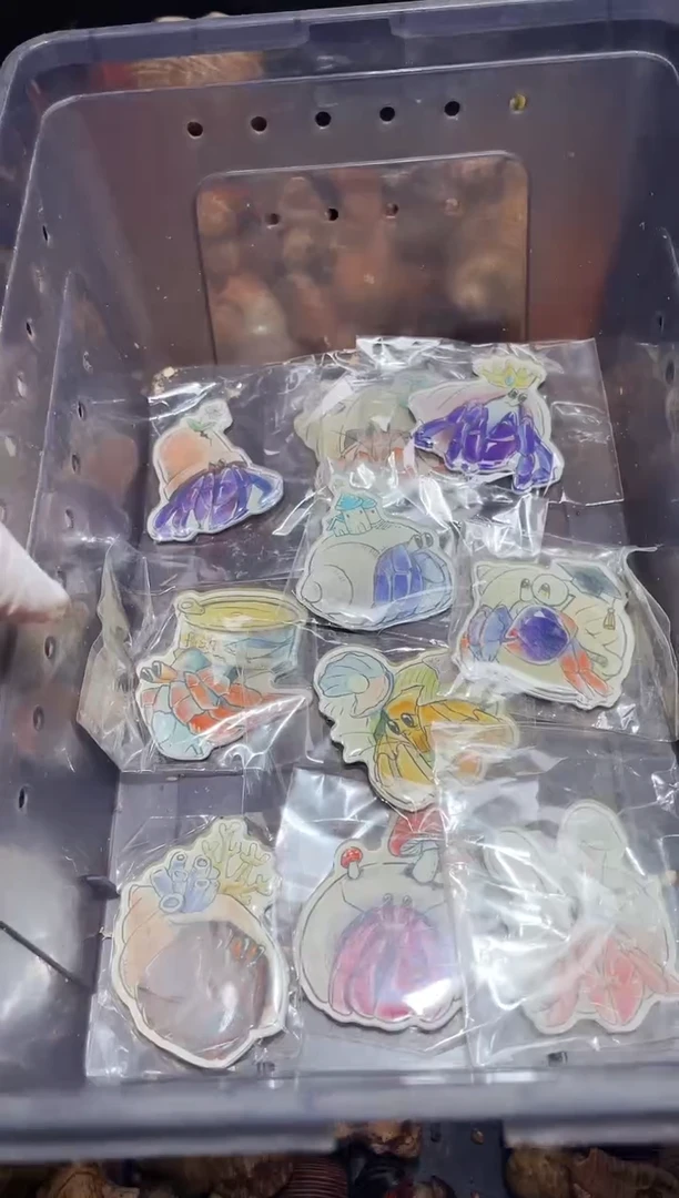 陌派有钳寄居蟹，蟹蟹周边10款冰箱贴