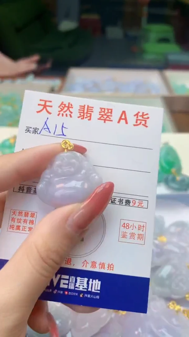 颈饰未镶嵌翡翠天然A货翡翠挂件