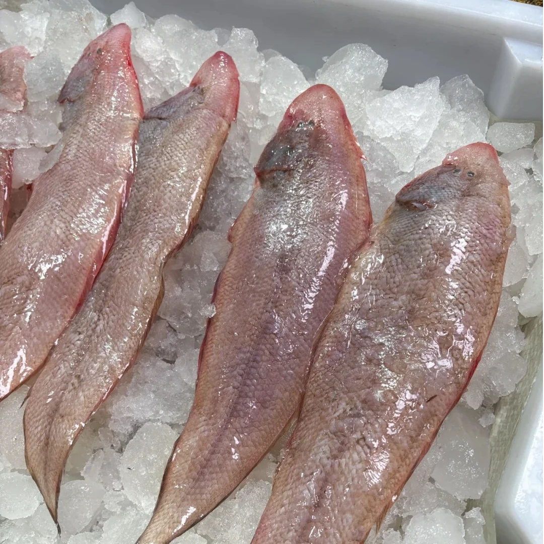 青岛当地干龙利鱼京东包邮3斤