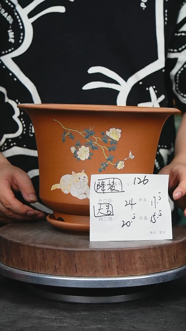 紫砂花盆花卉园艺126+z