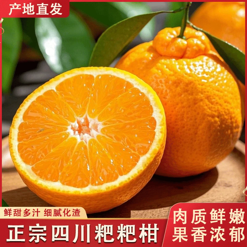 耙耙柑正宗水果四川耙耙柑新鲜整箱当季柑橘带箱5斤