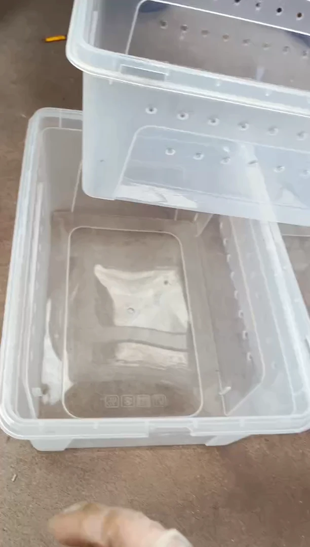 中号人渣盒无盖微瑕3个
