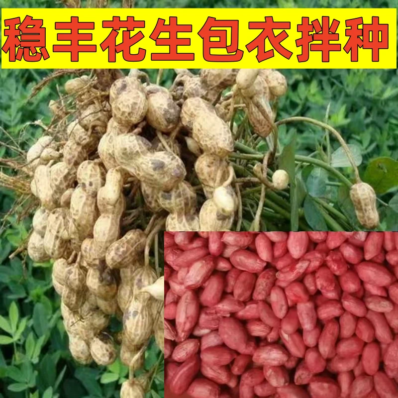 稳丰花生拌种包衣叶面肥组合