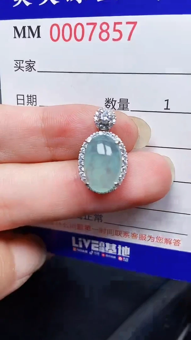 翡翠银S925镶嵌颈饰7857