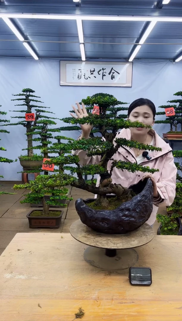 无花朵一物一拍，所见即所得