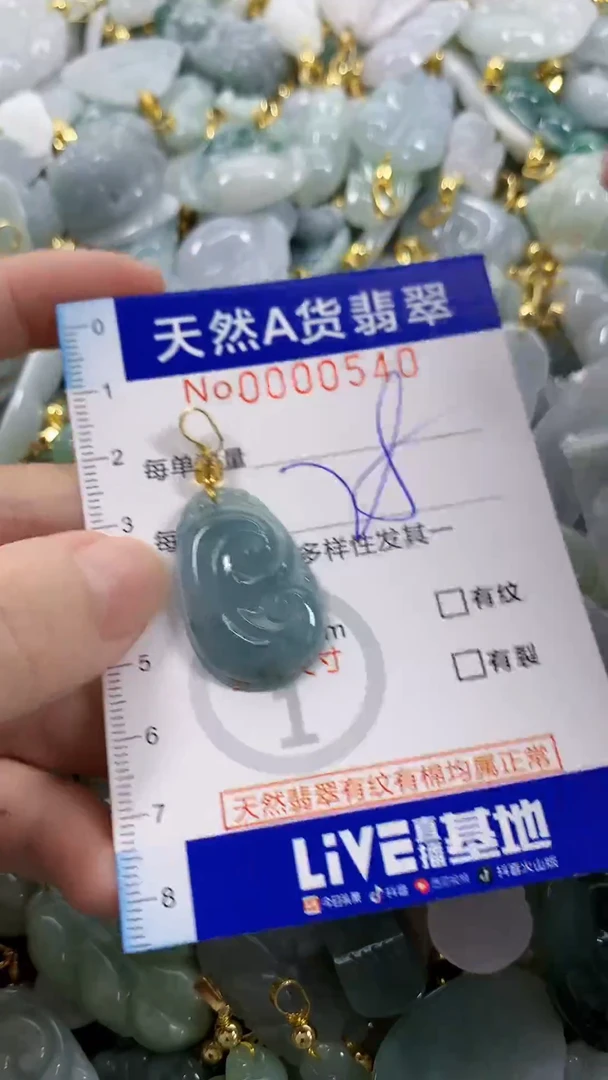 颈饰未镶嵌翡翠天然A货翡翠