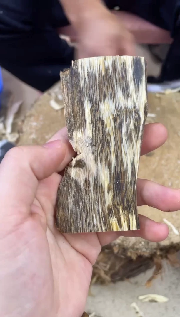 【闪购商品】沉香木沉香碎屑棋楠沉香 原料文创1