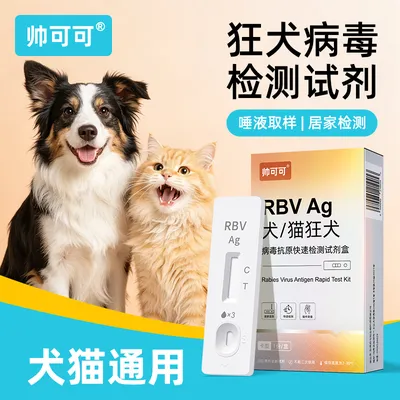 宠物猫狗狂犬病快检试纸动物狂犬病毒检测卡rbv狂犬抗原检测试