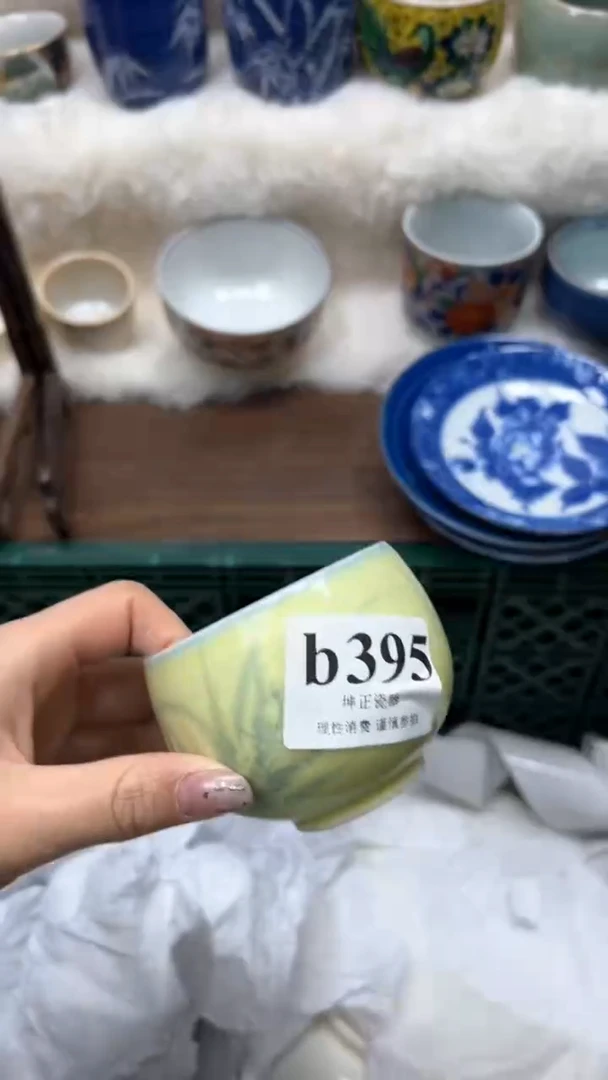 【闪购商品】瓷片          b395