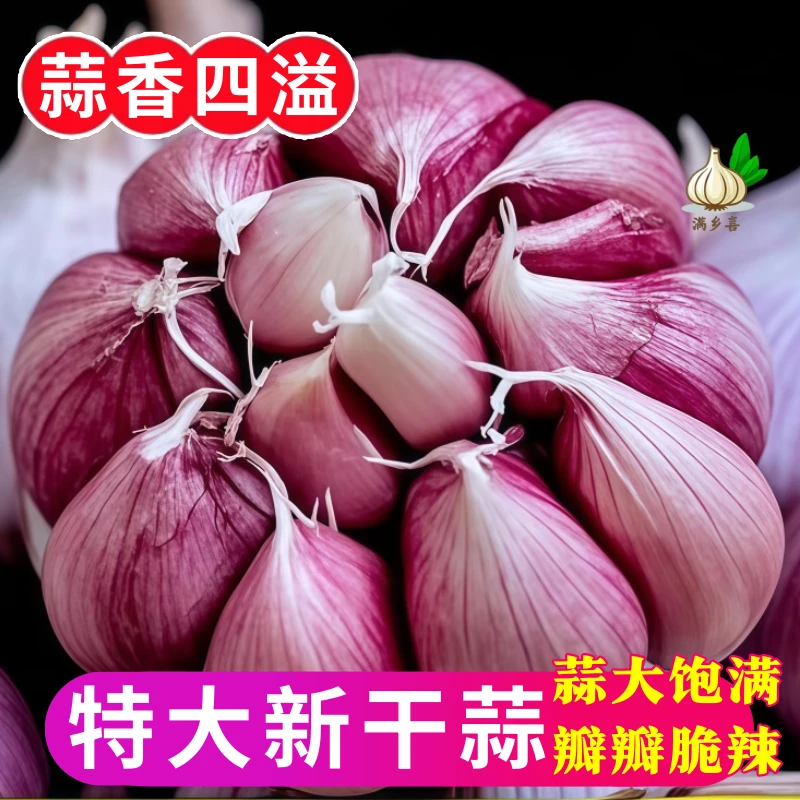 【满乡喜】新干蒜山东紫白皮大蒜头批发农家优质新鲜晒特大干蒜便宜