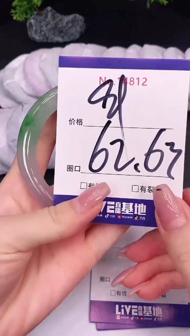 未镶嵌手镯翡翠14812