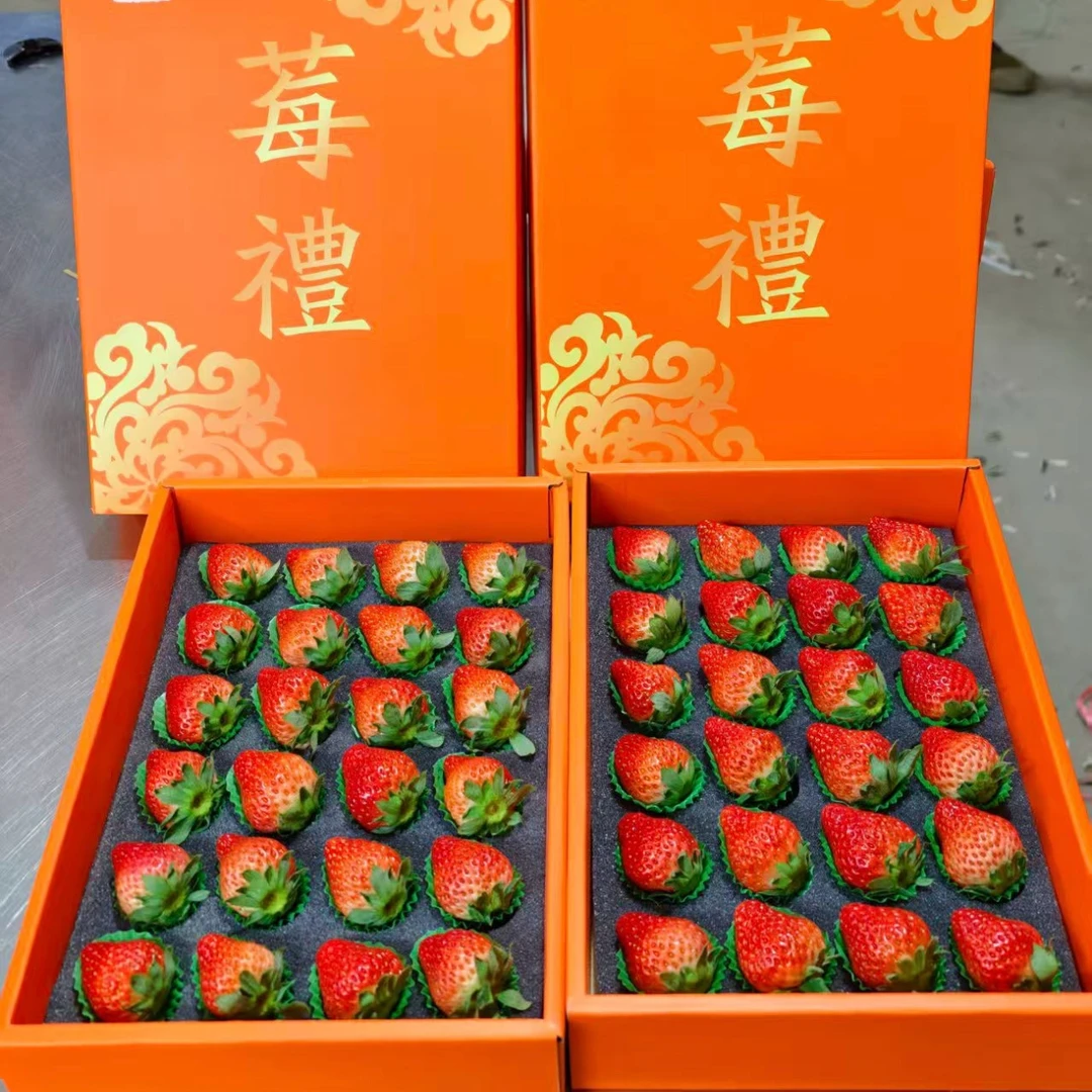 【丹东久久草莓】新鲜草莓礼盒新鲜水果辽宁省