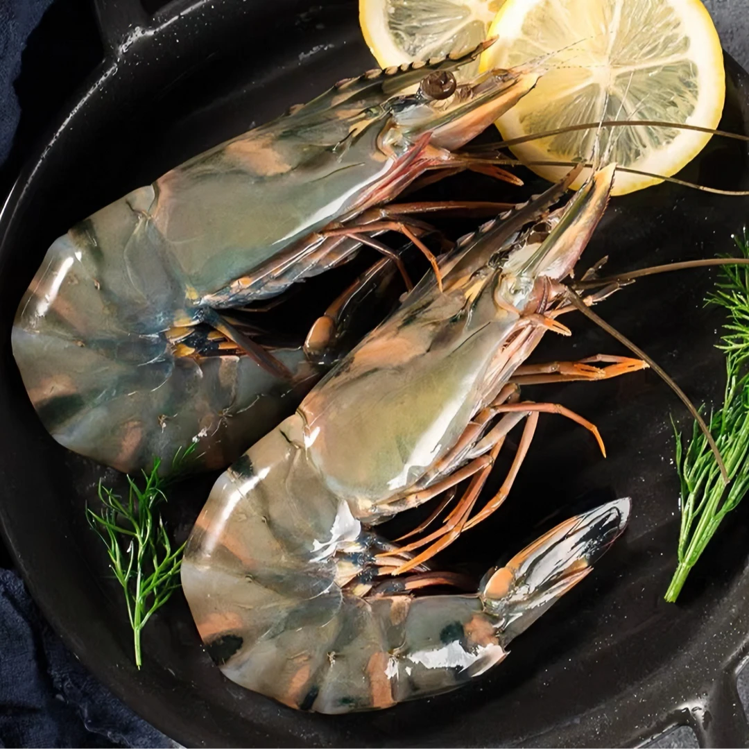 精品A级16-20规格 超大号黑虎虾3斤 活虾速冻 顺丰冷链