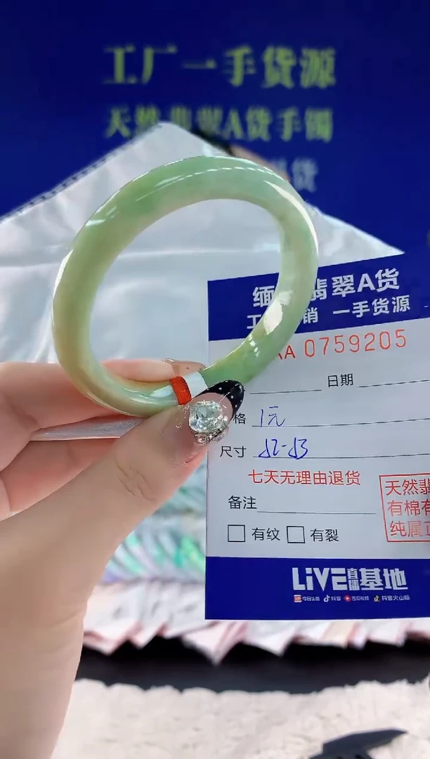 未镶嵌手镯翡翠05天然翡翠A货