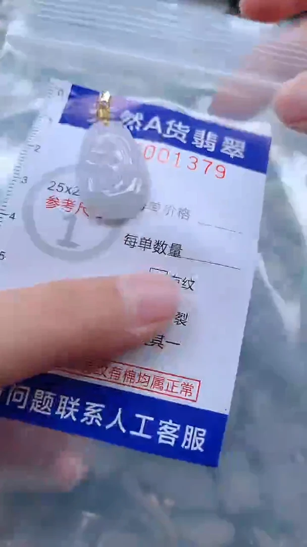 翡翠未镶嵌吊坠(不含链)1