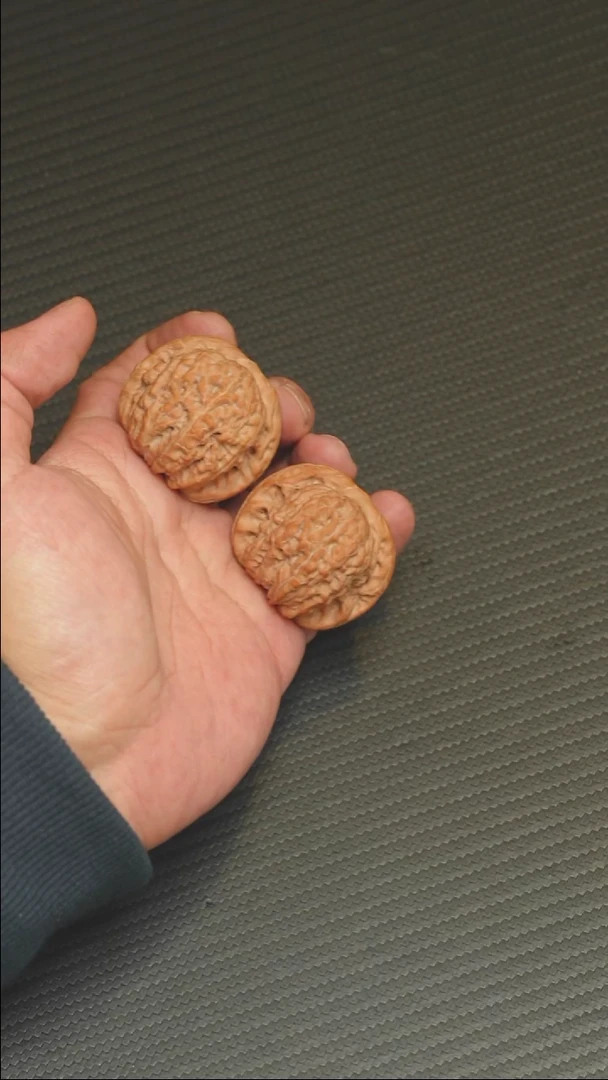 2025核桃季精品血麒麟40