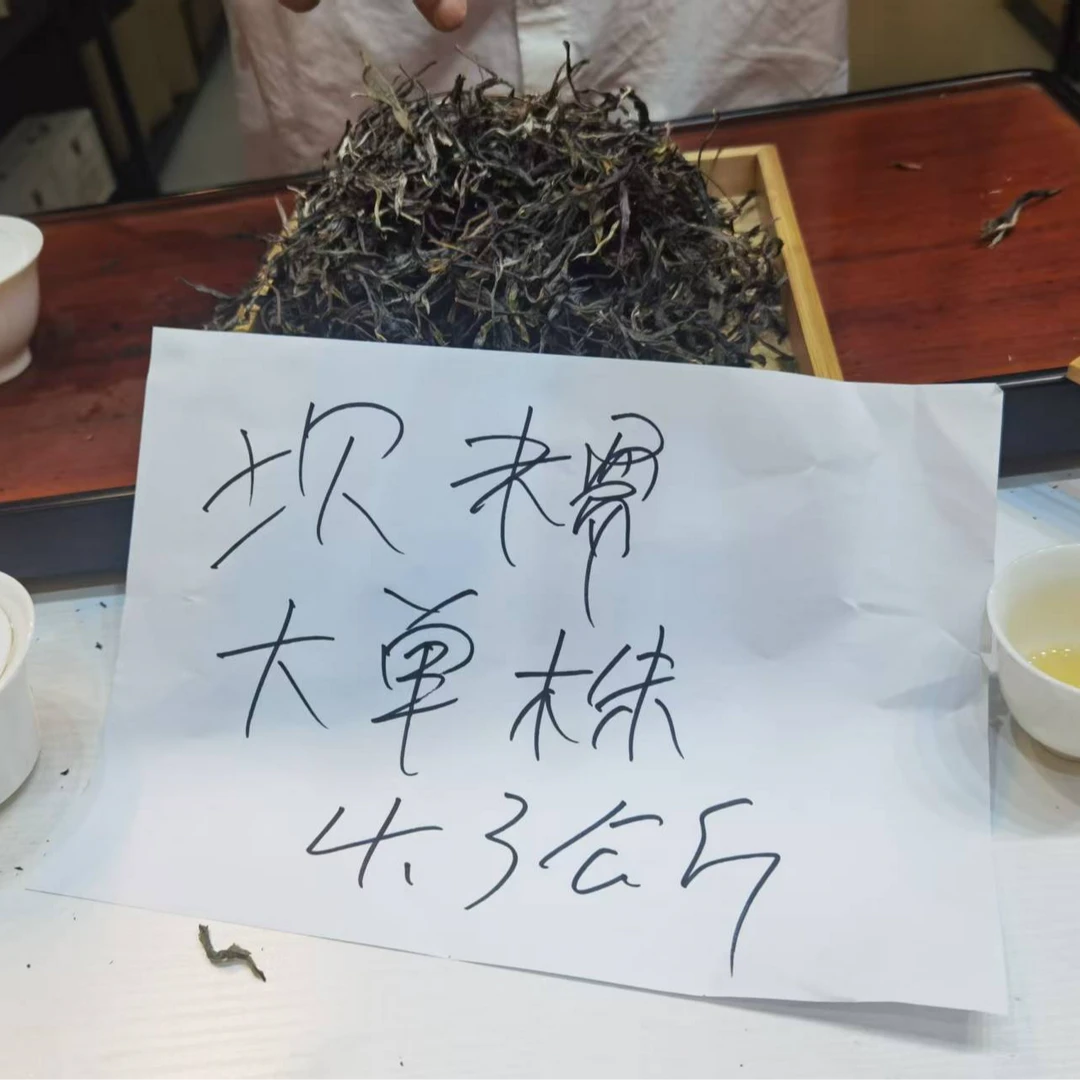 2025年坝糯单株普洱茶生茶散茶云南普洱茶茶叶