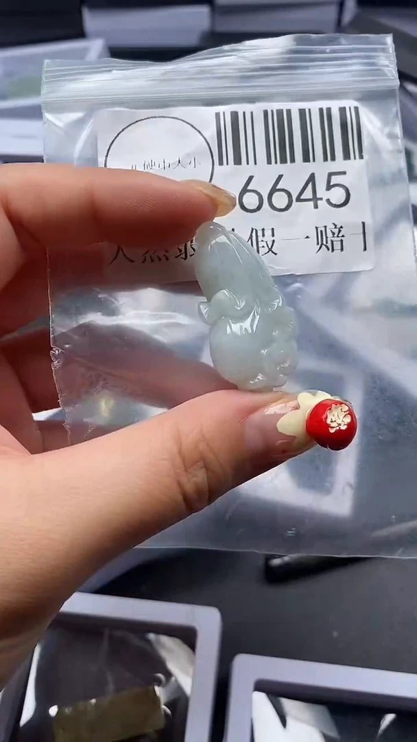 颈饰未镶嵌翡翠6645