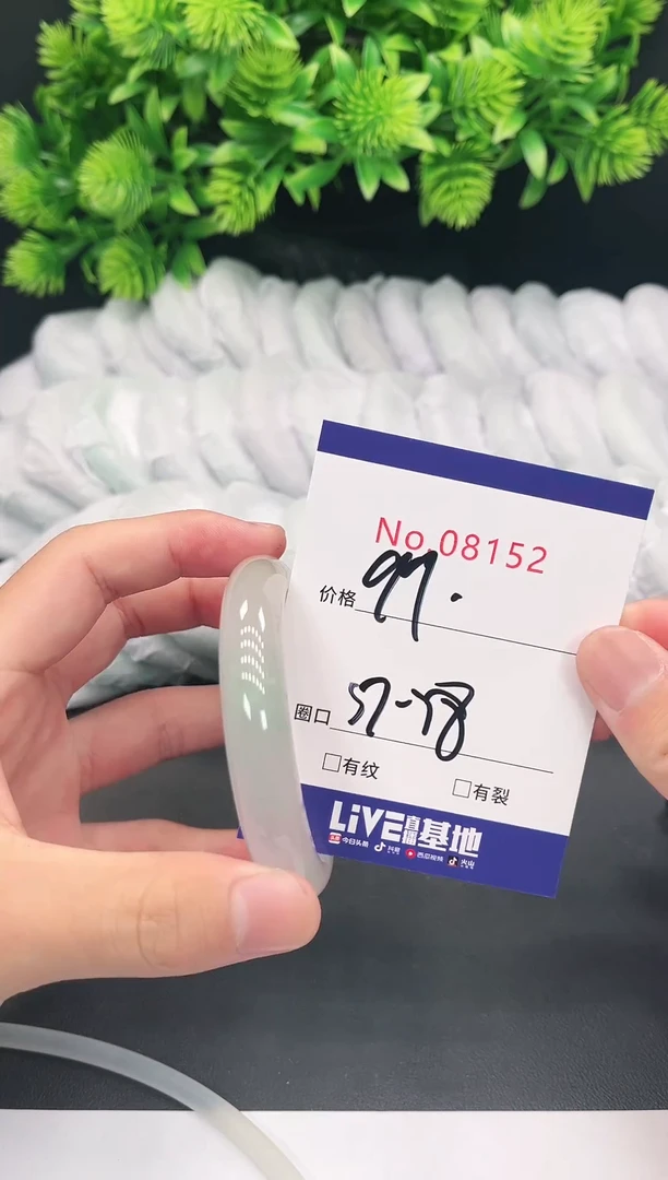 未镶嵌手镯翡翠8152