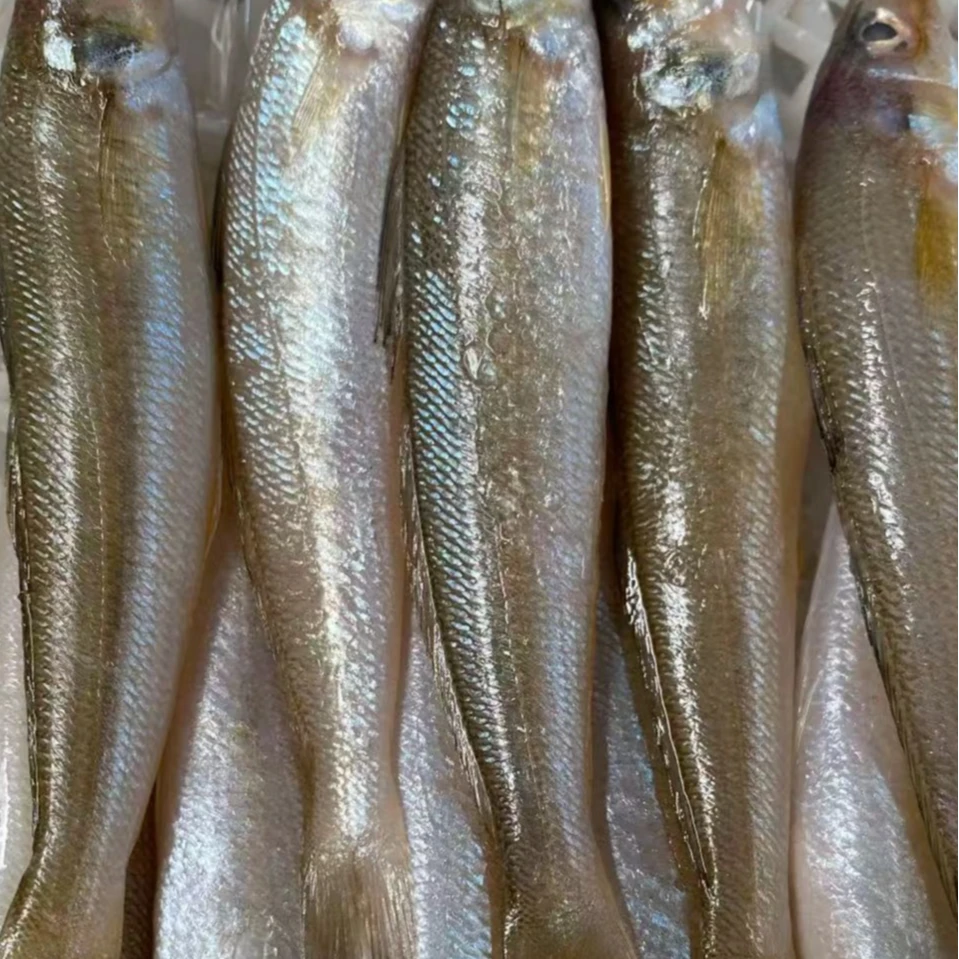 6k.【样样好】精选海鲜海鱼套餐25