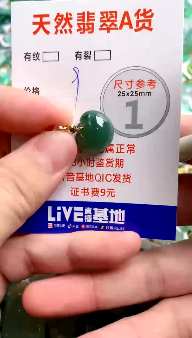 翡翠未镶嵌颈饰24000196