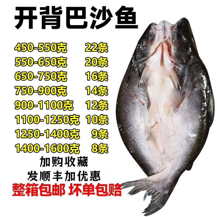 进口开背腌制湄公鱼整条冷冻巴沙鱼商用烤鱼半成品纸包鱼一整箱