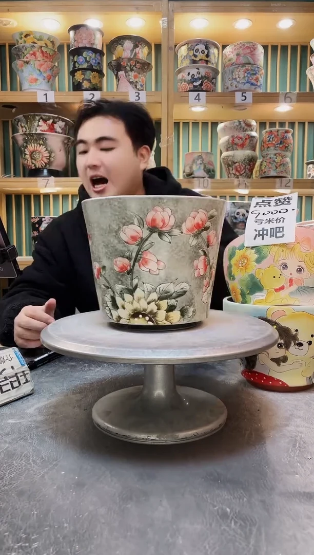 陶默认微瑕一物一拍1224-154