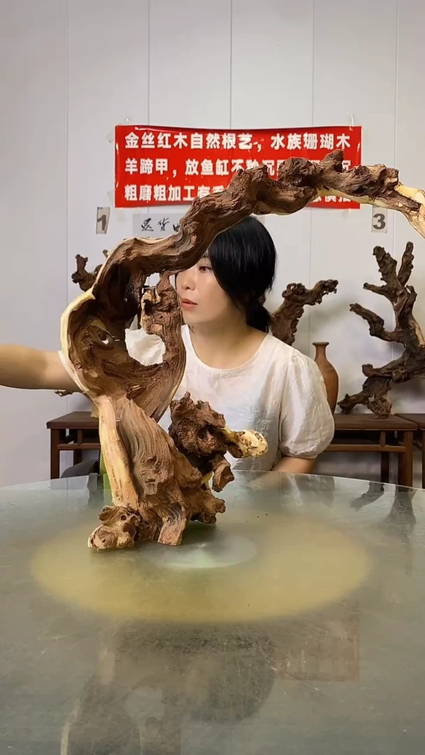 香榧木电**装金丝红木   羊蹄甲