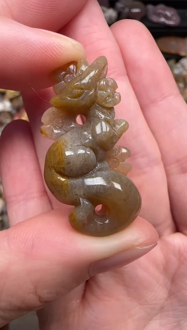 颈饰未镶嵌硅化珊瑚（珊瑚玉）719