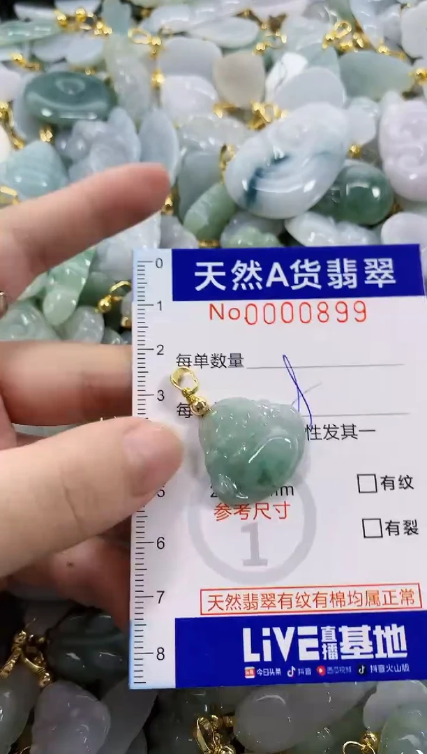 颈饰未镶嵌翡翠天然A货翡翠