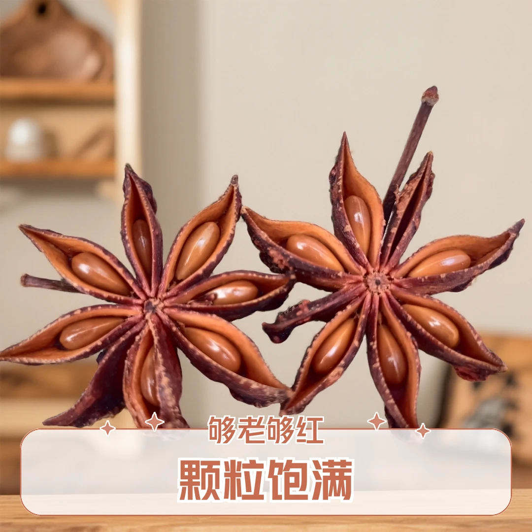 【广西大红八角】老树足干够香无硫八角大料香料调味料100g