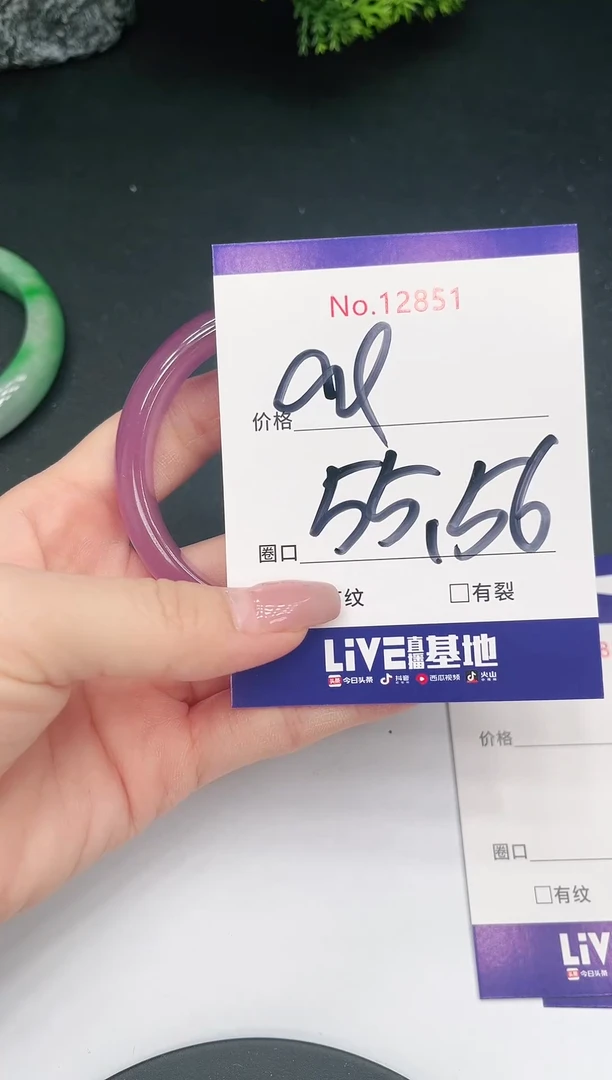 未镶嵌手镯翡翠12851