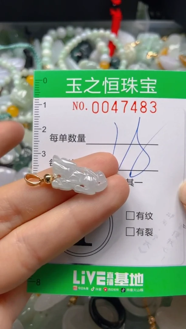 【闪购商品】翡翠颈饰未镶嵌闪购0047483